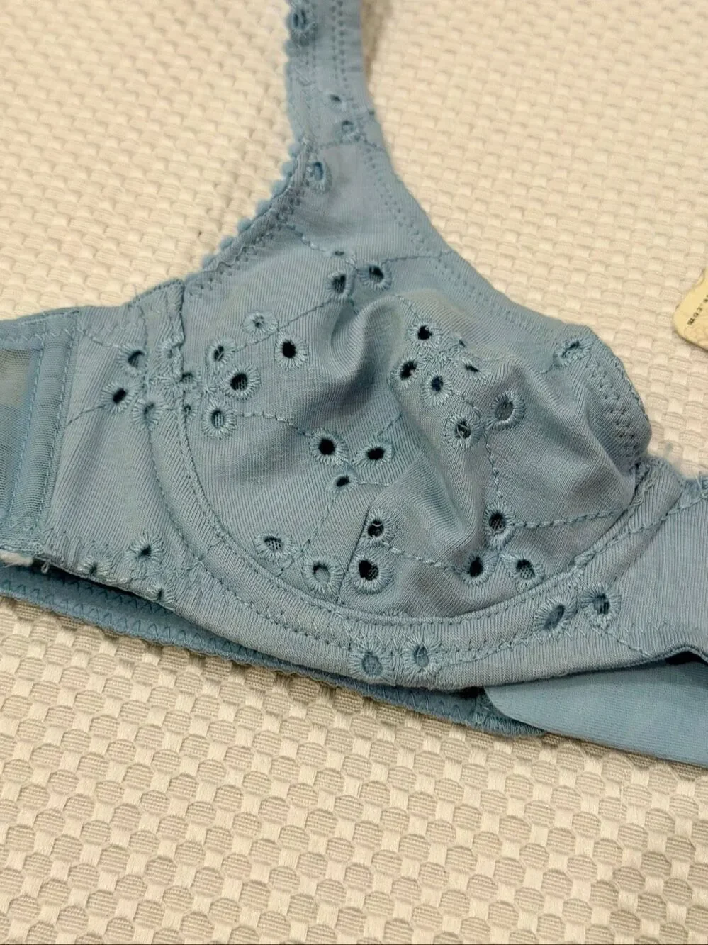 Free People NWT size 34A Homegrown Eyelet Demi-Cup Underwire Bra Clear Sky